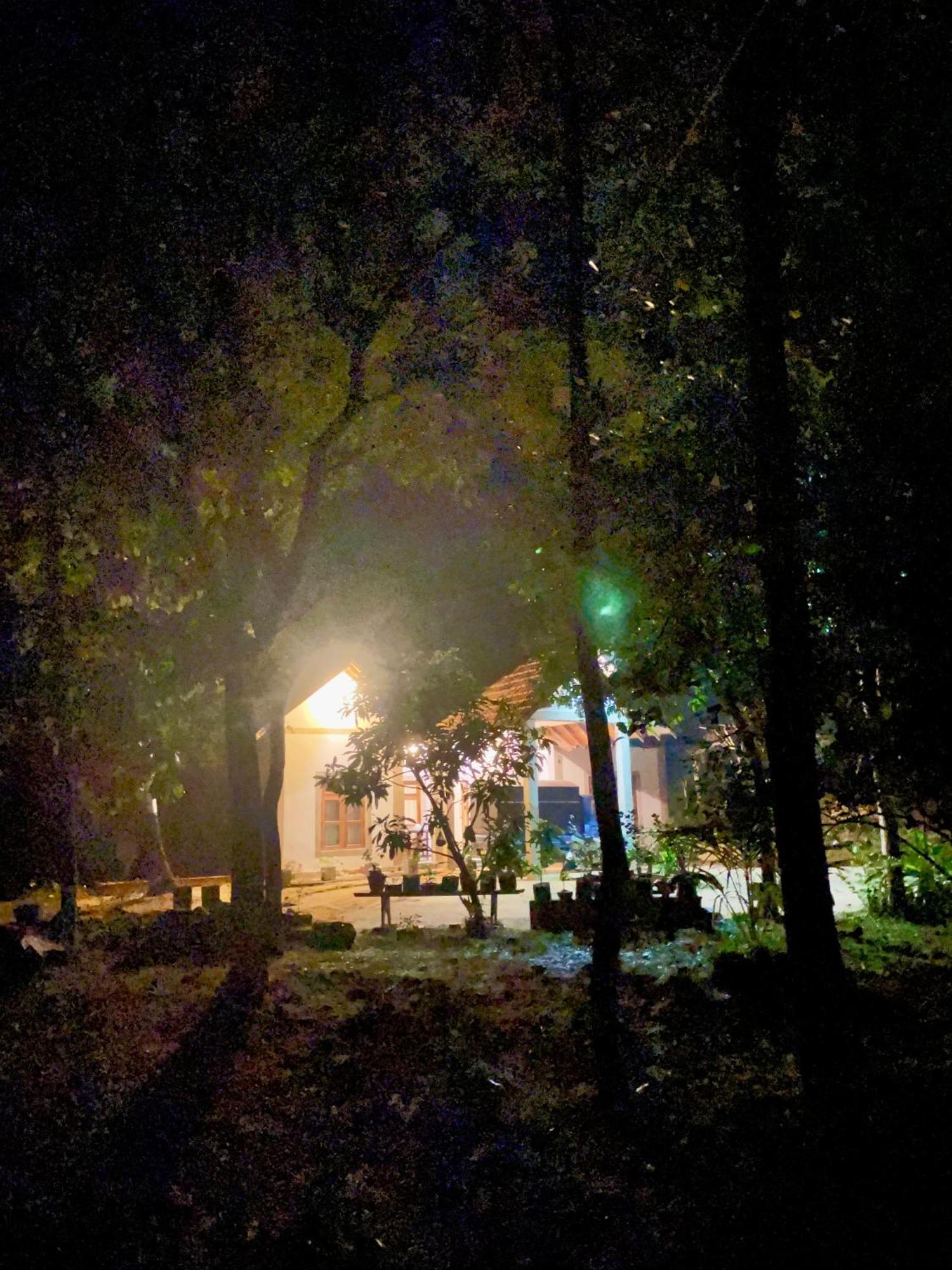 The Eco-Lodge 더 에코-롲지 Maho ภายนอก รูปภาพ